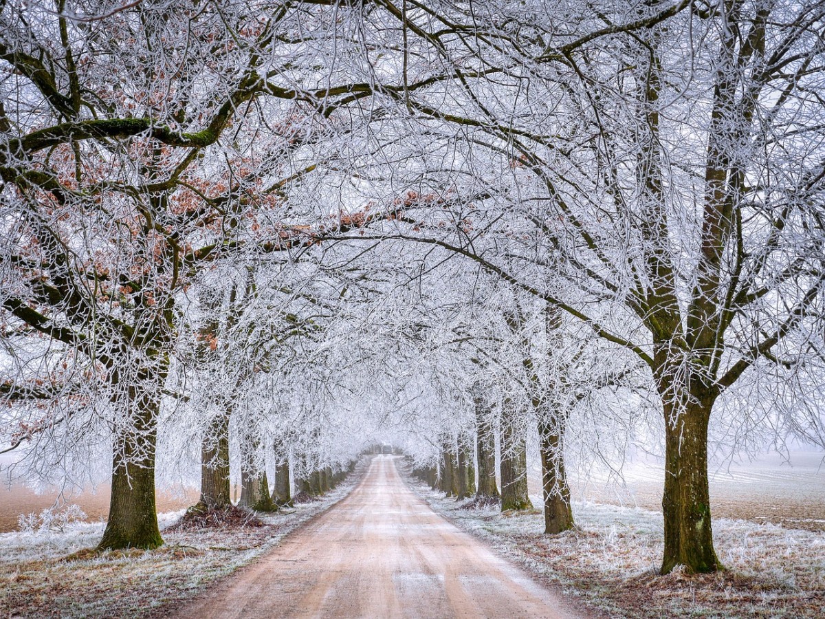 Winterlicher Weg zum Neujahr. Ländliche Kommunen machen sich mit der Schule der Dorf- und Landentwicklung Thierhaupten auf den Weg.